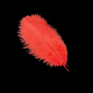 NEXASHOP 10Pcs 15-20cm Ostrich Feathers Stage Props Table Accessories Ostrich Plumes Gifts Fluffy Feather Accessories Wedding Decoration