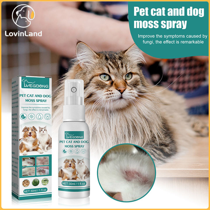 Veterinary Formula Clinical Care Hot Spot Itch Relief Spray Easy