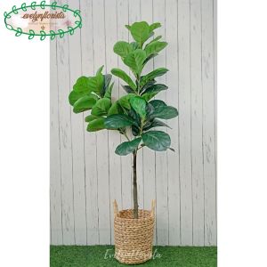 Tanaman Artificial Latex Pohon Ketapang X3 T140 Pot Dasar Cover Eceng Gondok Handle Dekorasi Aesthetic