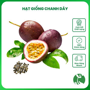 Hạt giống Chanh dây (Chanh leo) - Gói 1gr - Tỉ lệ nảy mầm >90% - Trồng quanh năm
