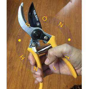 Kéo cắt cành Tolsen 31022 dùng để tỉa cây chăm sóc vườn