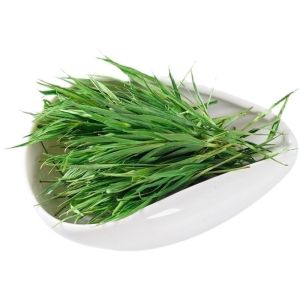 Fresh bamboo leaf tea green bamboo leaf new tea tender buds 竹叶茶