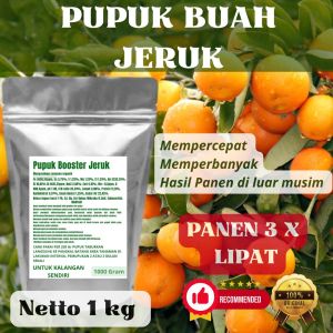 Pupuk Booster Jeruk Pelebat Organik Cepat Berbuah Lebat Besar Anti Rontok Pembesar Jeruk