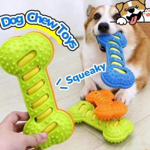 Dog Chew Toy Rubber Bone Squeaky Interactive Teething Dental Training Puppy