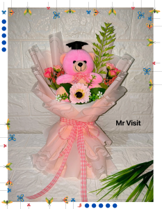 MR VISIT Buket Bunga Wisuda / Buket Boneka Wisuda / Kado Wisuda / Buket Lamaran / Buket Kelulusan Sekolah / Buket Graduation Wisuda / Buket Ulangtahun / Buket Wedding / Kado Ulangtahun / Hadiah Wisuda / KODE CALLISTO