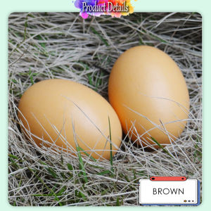 [Happy Kids] Fake Egg DIY Painted Graffiti Easter Egg Wooden Egg Wooden Toy 玩具鸡蛋 仿真鸡蛋 复活节 Mainan Telur - BT28