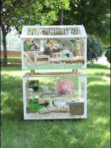 Hamster House Savic Hamster Cage Large Super Acrylic Material Hamster House