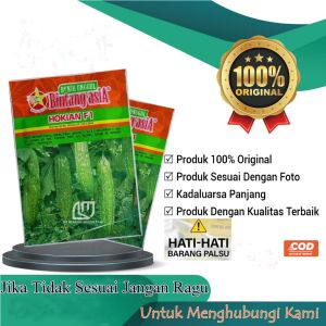 Bibit Paria Hibrida Benih Pare Unggul Hokian F110 Gram Bintang Asia