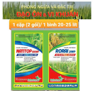 CẶP ĐÔI TRỪ BỆNH SIÊU ĐẠO ÔN - VI KHUẨN TRÊN LÚA