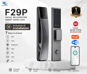 FREE INSTALLATION | F29P Facial Recognition Smart Door Lock | Smart Lock with Fingerprint & PIN