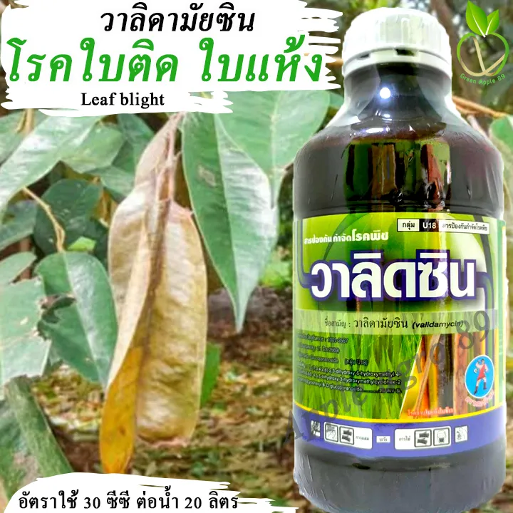 วาลิดซิน วาลิดามัยซิน 1 ลิตร สำหรับโรคใบติดทุเรียน