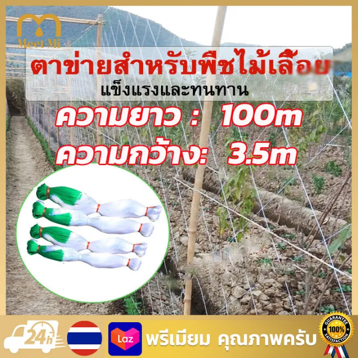 ตาข่ายปลูกผักไนล่อน 100 เมตร สำหรับพืชเถาเลื้อย ทนทาน