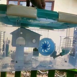 Paket Box Hamster Container 15 L Lengkap