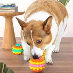 QEFEE Bite Resistant Dog Elastic Ball Toy High Elastic TPR Pet Chewing Toy Funny Colorful Dog Tooth Cleaning Toy For Dogs Cats