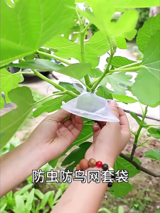 กระเป๋าป้องกันไนลอนระบายอากาศ50ชิ้นพร้อมเชือกผูกกระเป๋าเจาะที่เปลี่ยนฝาครอบต้นไม้