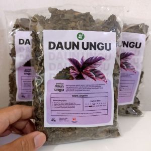 Teh Daun Ungu Kering Curah Teh Daun Ungu Premium 40 gr Herbal Atasi Gejala Wasir Ambeien Alami Organik Daun Handeleum Asli Tanpa Campuran