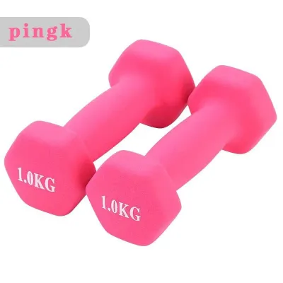 [IN SG STOCK]Non-Slip Matte Coated Round Dumbbells Pair - for Women & Kids Home Workout & Fitness Training