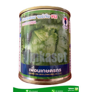 ผักกาดหอม จอร์เจีย953 (20กรัม  100 กรัม ) เพื่อนเกษตรกร