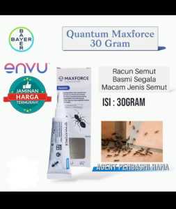 Maxforce Quantum 30 Gram Gel Obat Pembasmi Semut Paling Ampuh Tanpa Aroma Bau