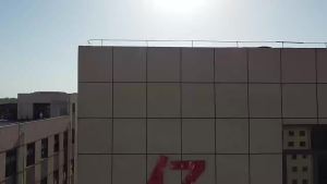 Jasmine Peach Lychee Lemon Drink Bagged Lychee Freeze-Dried Peach Jasmine Cold Brew Tea Fruit Tea Fruit Tea Drink