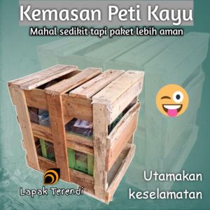 Mesin Parut kelapa Listrik bearing UCF KLU150D/Mesin Parut mini/Mesin parutan portabel