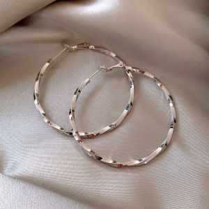 Corinna Fashion Metal Twisted Pattern Earrings Cool Temperament Earrings Versatile High-end Earrings