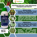 Pestisida Topfarm / Obat Hama Untuk Buah Dan Sayuran / Obat Hama Daun Sayuran /Obat Hama Kutu Daun Sayuran Pare / Obat Hama Sayuran Dan Pupuk Buah / Obat Daun Untuk Tanaman Sayuran / Obat Hama Sayuran Kumbang Daun. 