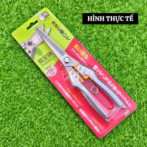 Kéo tỉa dăm tỉa cành cây Bosai dài 23cm thép trắng không gỉ hàng cao cấp xuất NHẬT