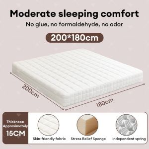 Premium Spring Mattress Independent Single/Double/King Size Hotel/Bedroom Memory Foam Mattress