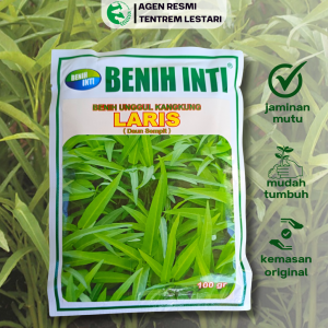 Benih Kangkung Daun Sempit LARIS 100 gram Cap BENIH INTI Lebat & Unggul