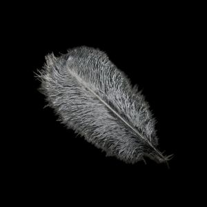 FWFHTP 10Pcs 15-20cm Ostrich Feathers Table Accessories Stage Props Ostrich Plumes Gifts Carnival Plumas Decor Artificial Ostrich Feather Wedding Decoration