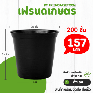 กระถาง กระถางต้นไม้ กระถางพลาสติก เบอร์ 2 2.5 นิ้ว สีดำ 200 ใบ ยกมัด ยกกระสอบ