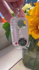 Pocket Sized Keyring Compasses Pendant Multifunction Guiding Compasses Thermometers Keyring Pocket Survival Compasses