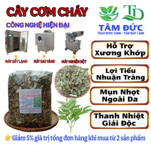 1kg cây cơm cháy sấy khô tặng 100g cỏ ngọt