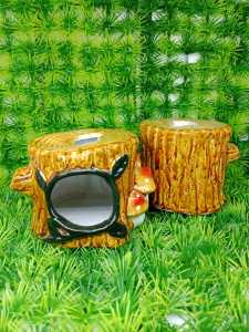 RH POHON JAMUR/HP GOA REPTIL>MAINAN HEWAN REPTIL