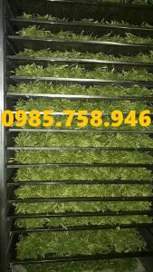 Tỷ sấy dược liệu sấy thực phẩm 10 khay tiện lợi hàng VN