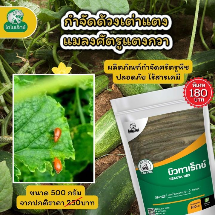 %E0%B8%81%E0%B8%B3%E0%B8%88%E0%B8%B1%E0%B8%94%E0%B9%81%E0%B8%A1%E0%B8%A5%E0%B8%87%E0%B8%A8%E0%B8%B1%E0%B8%95%E0%B8%A3%E0%B8%B9%E0%B8%9E%E0%B8%B7%E0%B8%8A%20%E0%B8%A2%E0%B8%B2%E0%B8%86%E0%B9%88%E0%B8%B2%E0%B8%94%E0%B9%89%E0%B8%A7%E0%B8%87%E0%B9%80%E0%B8%95%E0%B9%88%E0%B8%B2%E0%B9%81%E0%B8%95%E0%B8%87%20%E0%B9%83%E0%B8%99%E0%B9%81%E0%B8%95%E0%B8%87%E0%B8%81%E0%B8%A7%E0%B8%B2%20%E0%B9%81%E0%B8%A5%E0%B8%B0%20%E0%B8%9E%E0%B8%B7%E0%B8%8A%E0%B8%97%E0%B8%B8%E0%B8%81%E0%B8%8A%E0%B8%99%E0%B8%B4%E0%B8%94%20%E0%B8%9A%E0%B8%B4%E0%B8%A7%E0%B8%97%E0%B8%B2%E0%B9%80%E0%B8%A3%E0%B9%87%E0%B8%81%E0%B8%8B%E0%B9%8C%20%E0%B9%82%E0%B8%94%E0%B8%A2%20%E0%B9%84%E0%B8%94%E0%B9%82%E0%B8%99%E0%B9%80%E0%B8%A3%E0%B9%87%E0%B8%81%E0%B8%8B%E0%B9%8C%20-%20Image%204