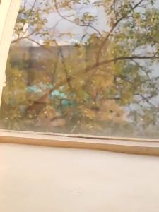 Dép đi trong nhà tắm thiết kế đế dày thoải mái thiết kế hình cá mập đáng yêu AYUER