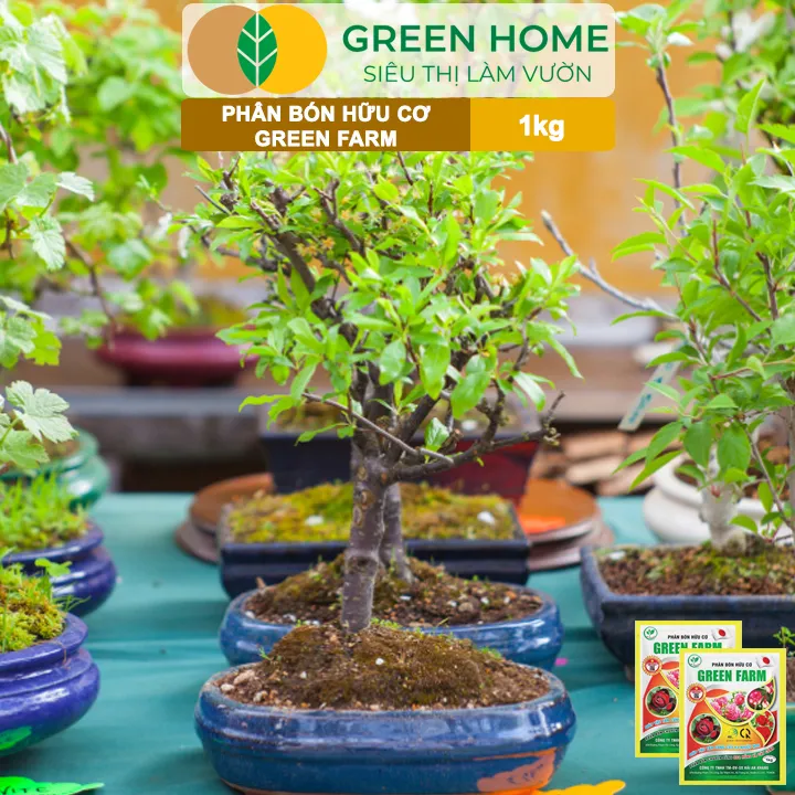 Ph%C3%A2n%20B%C3%B3n%20H%E1%BB%AFu%20C%C6%A1%20Green%20Farm,%20GreenHome,%20G%C3%B3i%201kg,%20Chuy%C3%AAn%20D%C3%B9ng%20Cho%20C%C3%A2y%20C%E1%BA%A3nh,%20Hoa%20H%E1%BB%93ng%20-%20Image%209