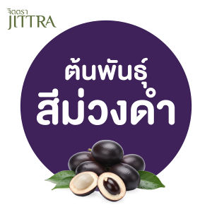 จิตตรา ต้นพันธุ์ลำไยคริสตัล Matoa สีม่วงดำ แดง เหลือง เขียว เพาะเมล็ดสูง 40-60 ซม. พร้อมส่ง เคลมฟรี ต้นพันธุ์ผลไม้