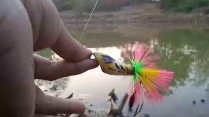 Lure Killer Untuk Castingan Ikan Gabus Jump Frog Mini Rft Mancing