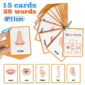 15PCS Body Parts Children Cognitive Card Montessori Toys Flash Cards for Kid Education Enlightenment English Learning Card