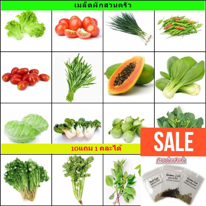 เมล็ดพันธุ์ผักรวมออร์แกนิก (10 ชนิด) บรรจุซองซิป