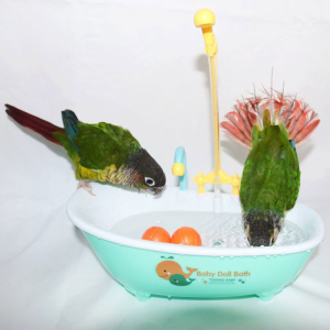 Pet Bath Tub Shower Bowl Parrot Automatic Bathtub with Decor Faucet & Shower Swimming Pool Toy Birds Accessories