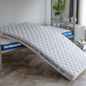 Zeen Mattress Bed Foam Mattress Topper 2/3 In Thickened Foldable Uratex Foam Household Single / Double / Queen / King Size