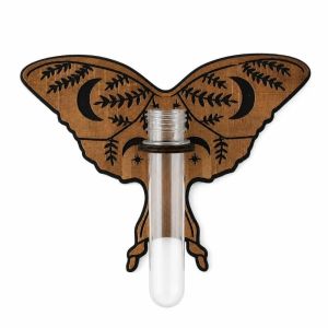HENRYQ Wooden Hydroponic Planter Shelf Vase Home Ornaments Wall Decoration Flower Holder Butterfly Shape Flower Pot Indoor Plants