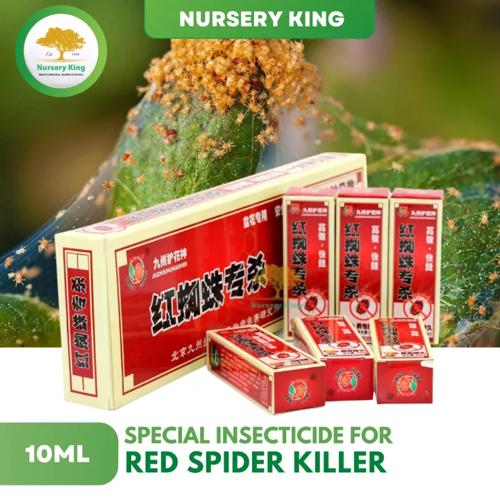 Special Insecticide for Red Spider 红蜘蛛专杀 / Red Spider Killer 10ml | Lazada