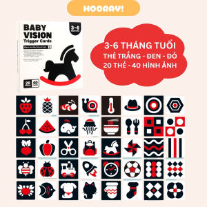 Flash Card Giáo Dục Sớm Kích Thích Thị Giác Cho Bé Theo Từng Tháng Tuổi (0-3M 3-6M 6-12M 12-36M)