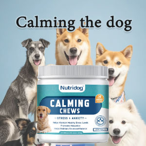 วิตามินบำรุงเลือดสุนัข วิตามินน้องหมา อาหารเสริมสุนัข วิตามินกระตุ้นและเสริมสร้างภูมิคุ้มกัน