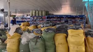 Bộ đồ ngủ nữ mùa hè thời trang chất liệu cotton nguyên chất tay ngắn kiểu dáng công chúa có thể mặc ra ngoài thoáng khí và nhẹ.